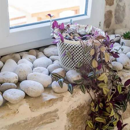 5* Beachfront Olive Mill * Putniković